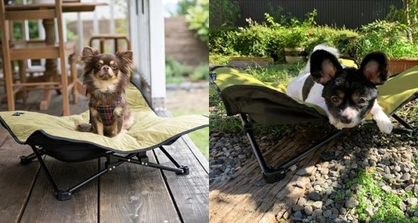 Раскладное кресло для собак Quick Camp QC-DC
