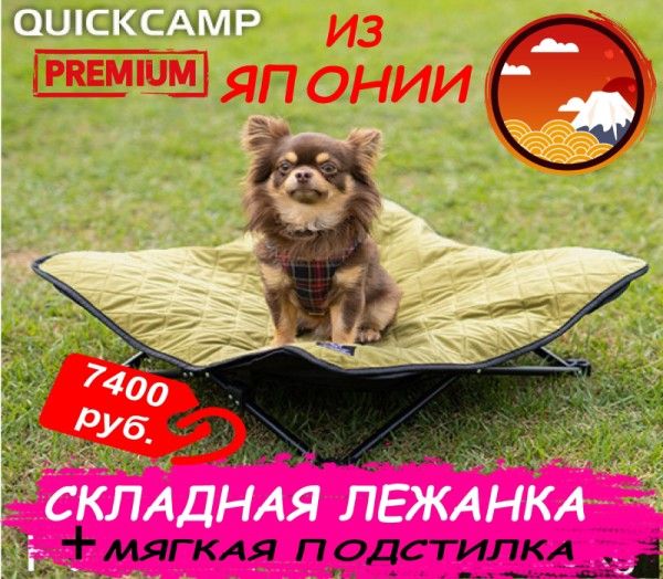 Раскладное кресло для собак Quick Camp QC-DC / Стулья - Товары из Японии