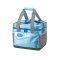 Японская термосумка Coleman Extreme ice Cooler 2000022212 (15л)