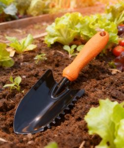 Японский совок Daishin Япония(JAN.700808)