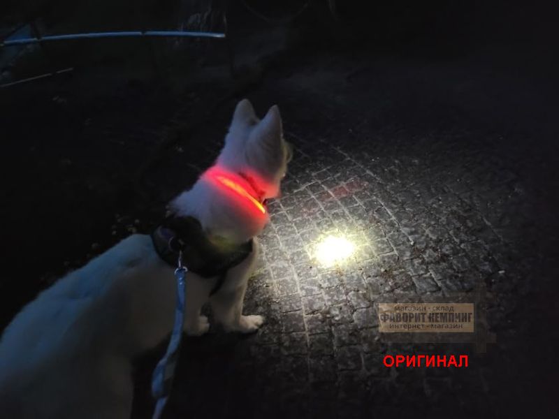 Японский налобный фонарь Gentos CP-360R