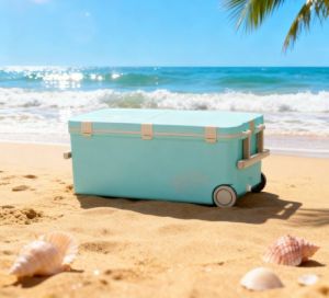 Японский кулбокс Shinwa 45L BL