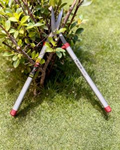 Японский усиленный кусторез Daishin JAN.701478