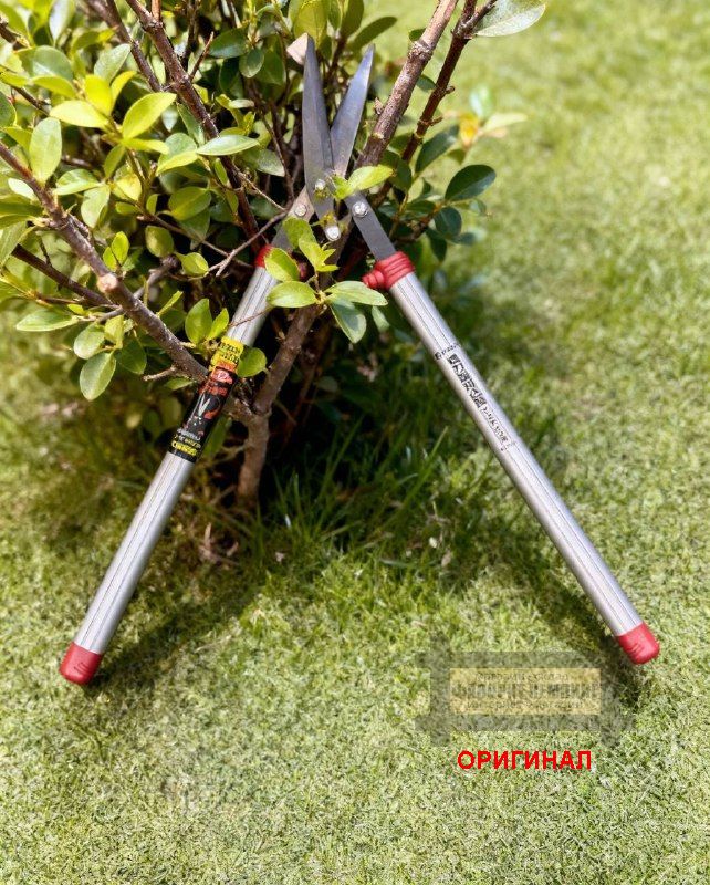 Японский усиленный кусторез Daishin JAN.701478