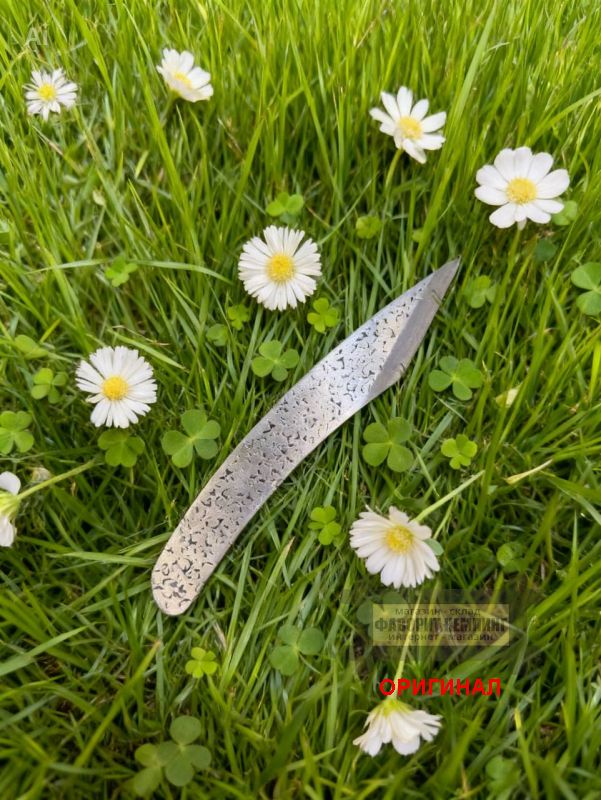 Японский прививочный нож Daishin 4939736206584