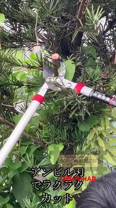 Японский профессиональный сучкорез  Daishin  703113