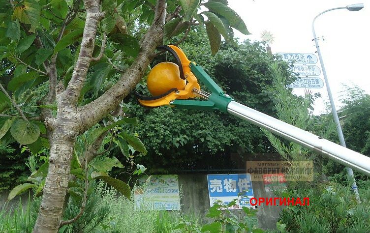 Японский плодосборник Daishin 502952