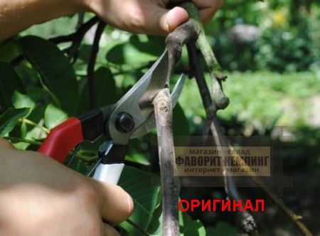 Японский секатор OKATSUNE 210 мм (Jan. 104014)