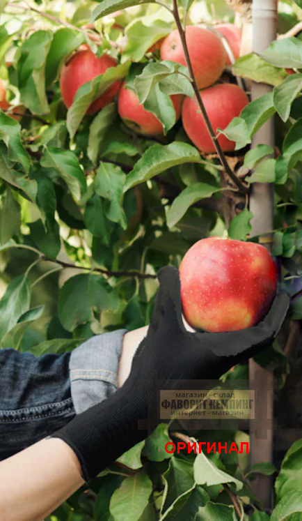 Японские перчатки Otafuku A-348