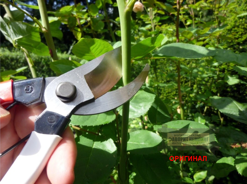 Японский секатор OKATSUNE 210 мм (Jan. 104014)