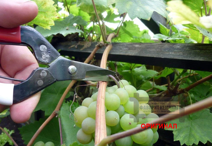 Японские садовые ножницы OKATSUNE 307019 180мм 