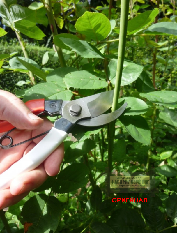 Японский секатор OKATSUNE 210 мм (Jan. 104014)