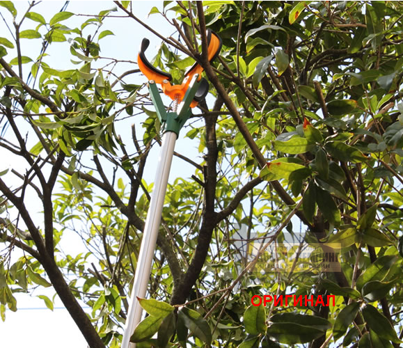 Японский плодосборник Daishin 502952