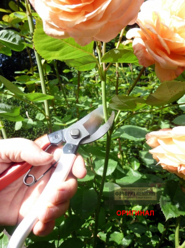 Японский секатор OKATSUNE 210 мм (Jan. 104014)