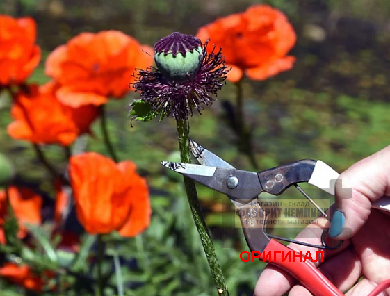 Японские садовые ножницы OKATSUNE 307019 180мм 