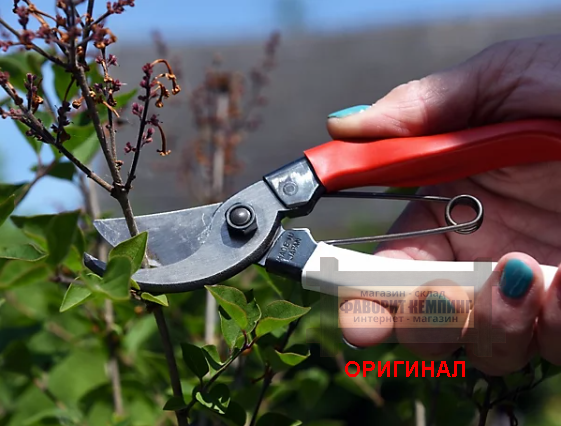 Японский секатор OKATSUNE 210 мм (Jan. 104014)