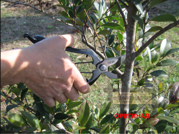 Японский секатор ручной ковки Hounen HT-2566 Toyotoshi Mitsuyamasaku B-200